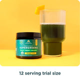 Ancient Nutrition Organic SuperGreens Powder 159g serving suggestion