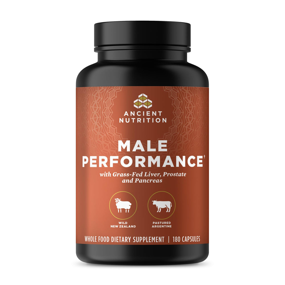 Ancient Nutrition Organs Supplement Complex for Men 180 Count bottle front view