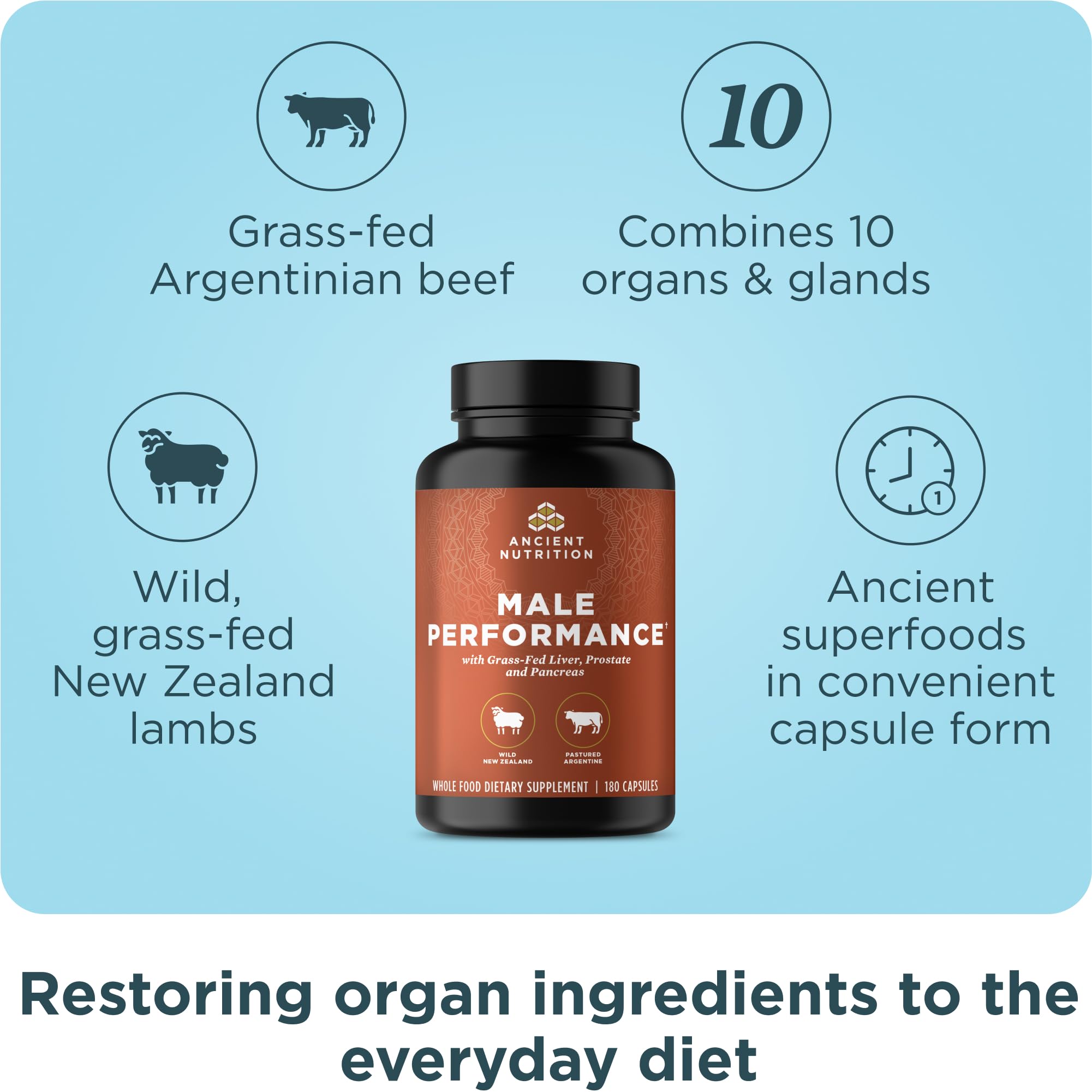 Ancient Nutrition Organs Supplement Complex for Men 180 Count capsules close-up