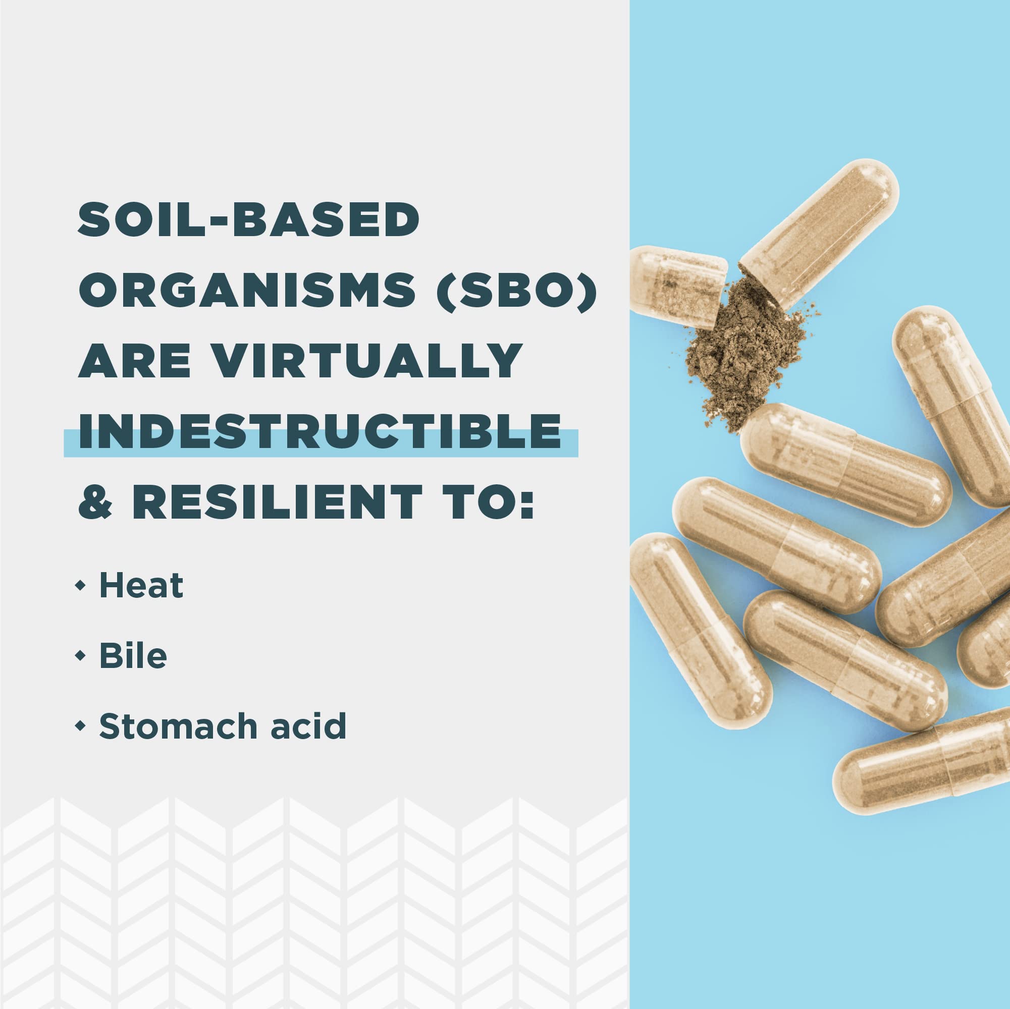 Ancient Nutrition SBO Gut Restore Probiotics ingredients list