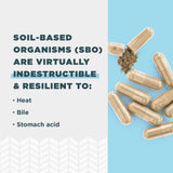 Ancient Nutrition SBO Gut Restore Probiotics ingredients list