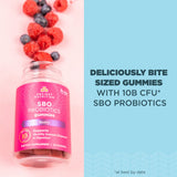 Ancient Nutrition SBO Probiotics Gummies Berry flavour nutritional information