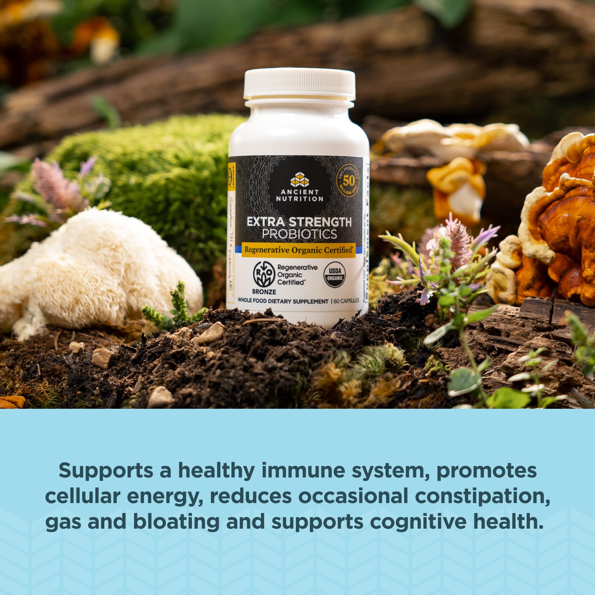 Ancient Nutrition Superfood Blend 100g ingredients list