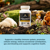 Ancient Nutrition Superfood Blend 100g ingredients list