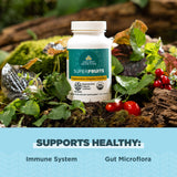 Ancient Nutrition SuperFruits Blended Vitamin Supplement back view