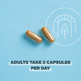Ancient Nutrition SuperFruits Blended Vitamin Supplement capsules
