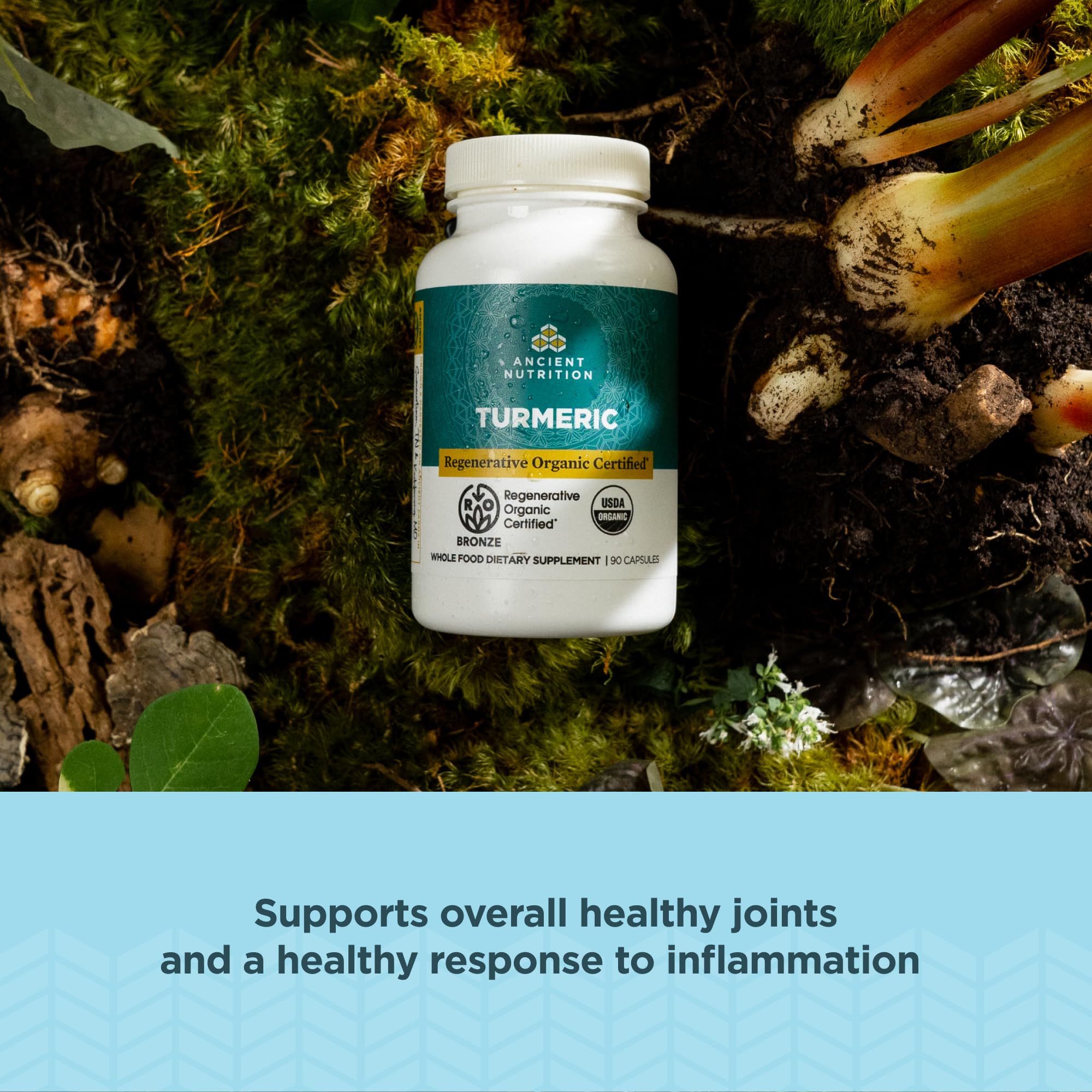 Ancient Nutrition Turmeric Capsules back view with ingredient details