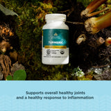 Ancient Nutrition Turmeric Capsules back view with ingredient details