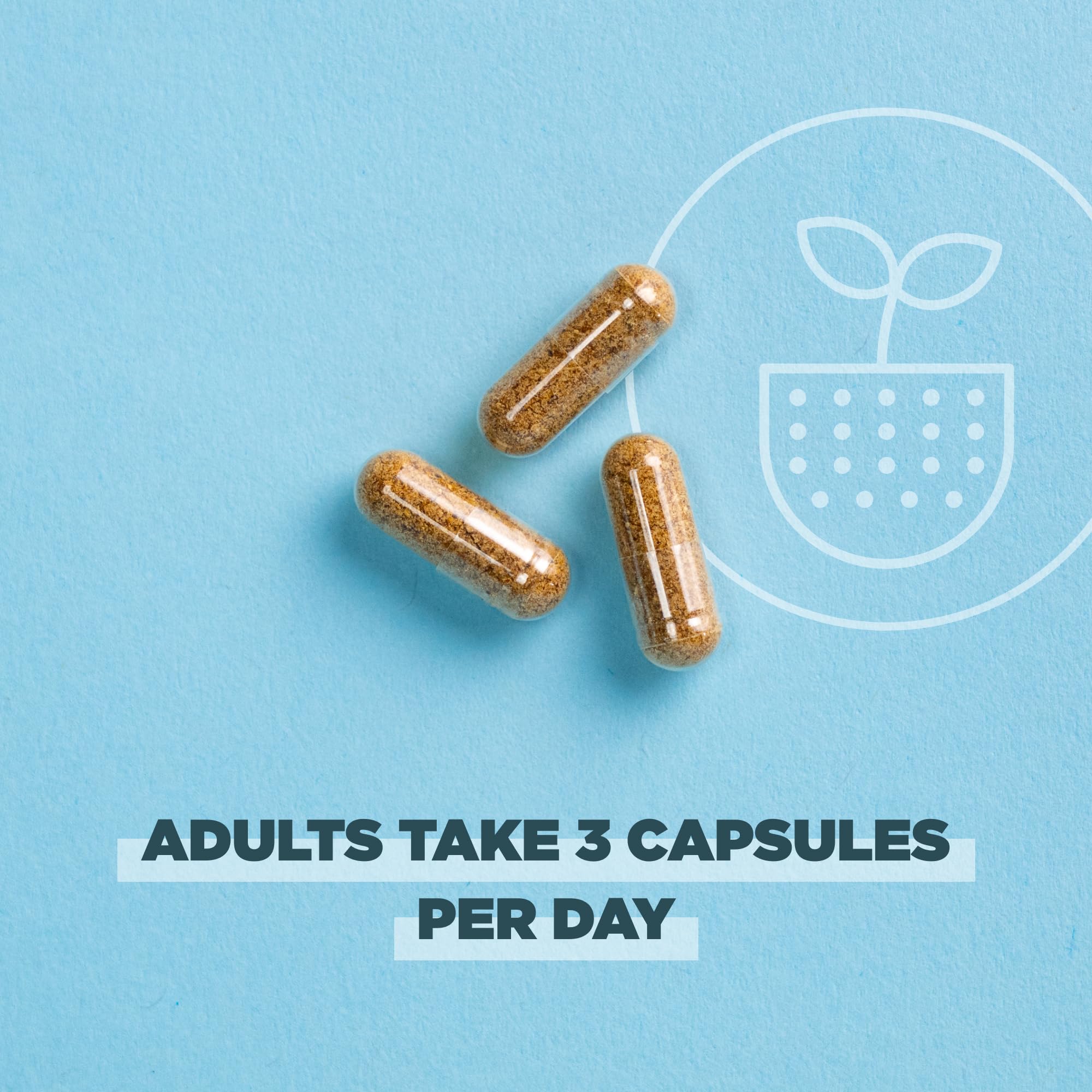 Ancient Nutrition Turmeric Capsules lifestyle scene with a glass of water