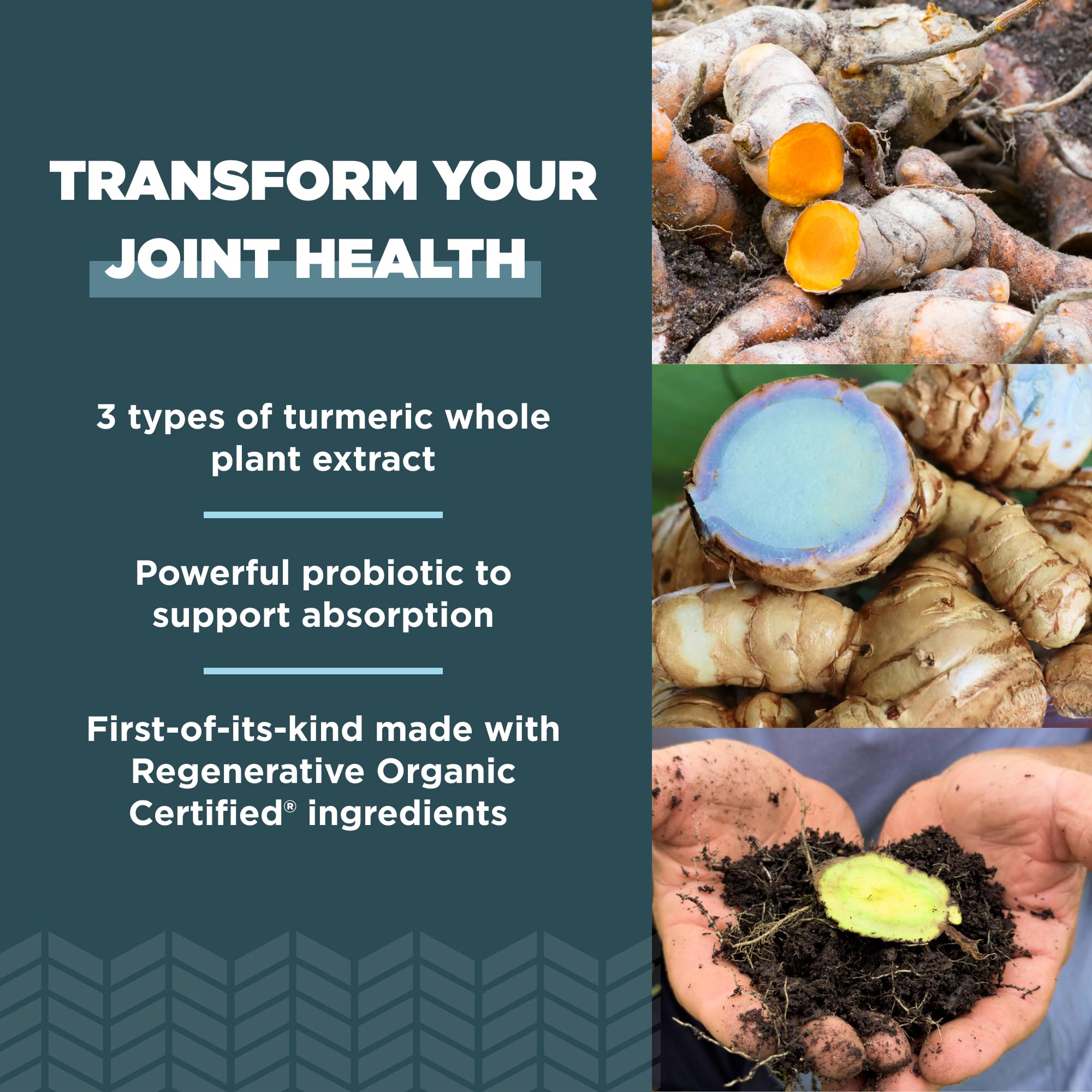 Ancient Nutrition Turmeric Capsules opened bottle showing capsules
