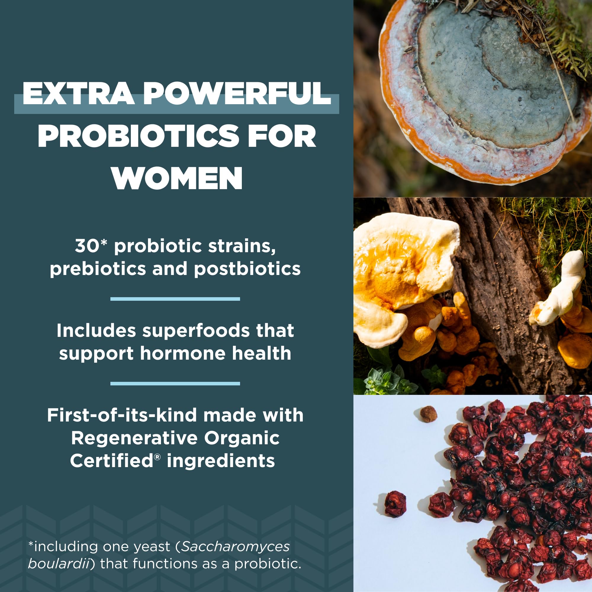 Ancient Nutrition Women’s Extra Strength Probiotics 50 Billion CFUs capsule close-up