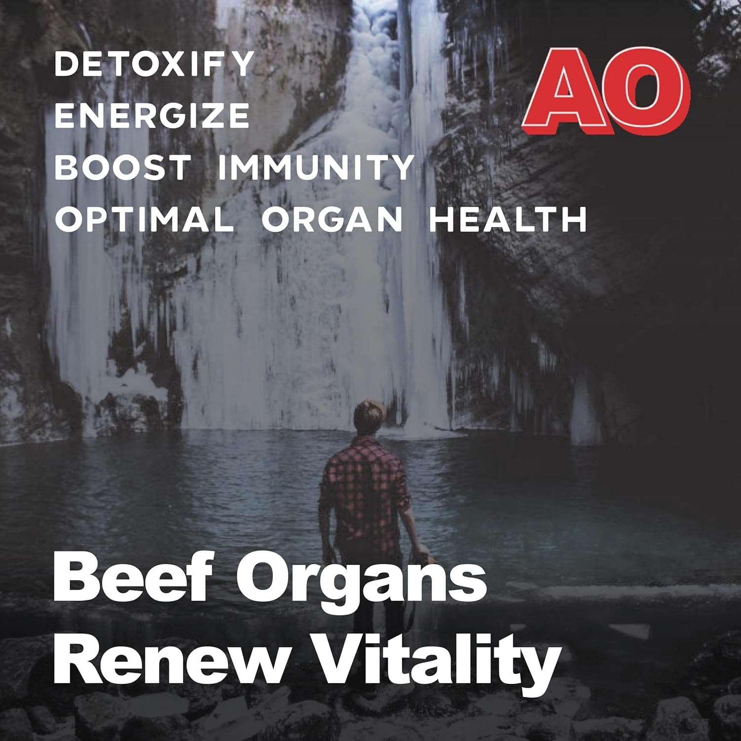 Ancient Origins Beef Organ Supplement 4500mg ingredients list