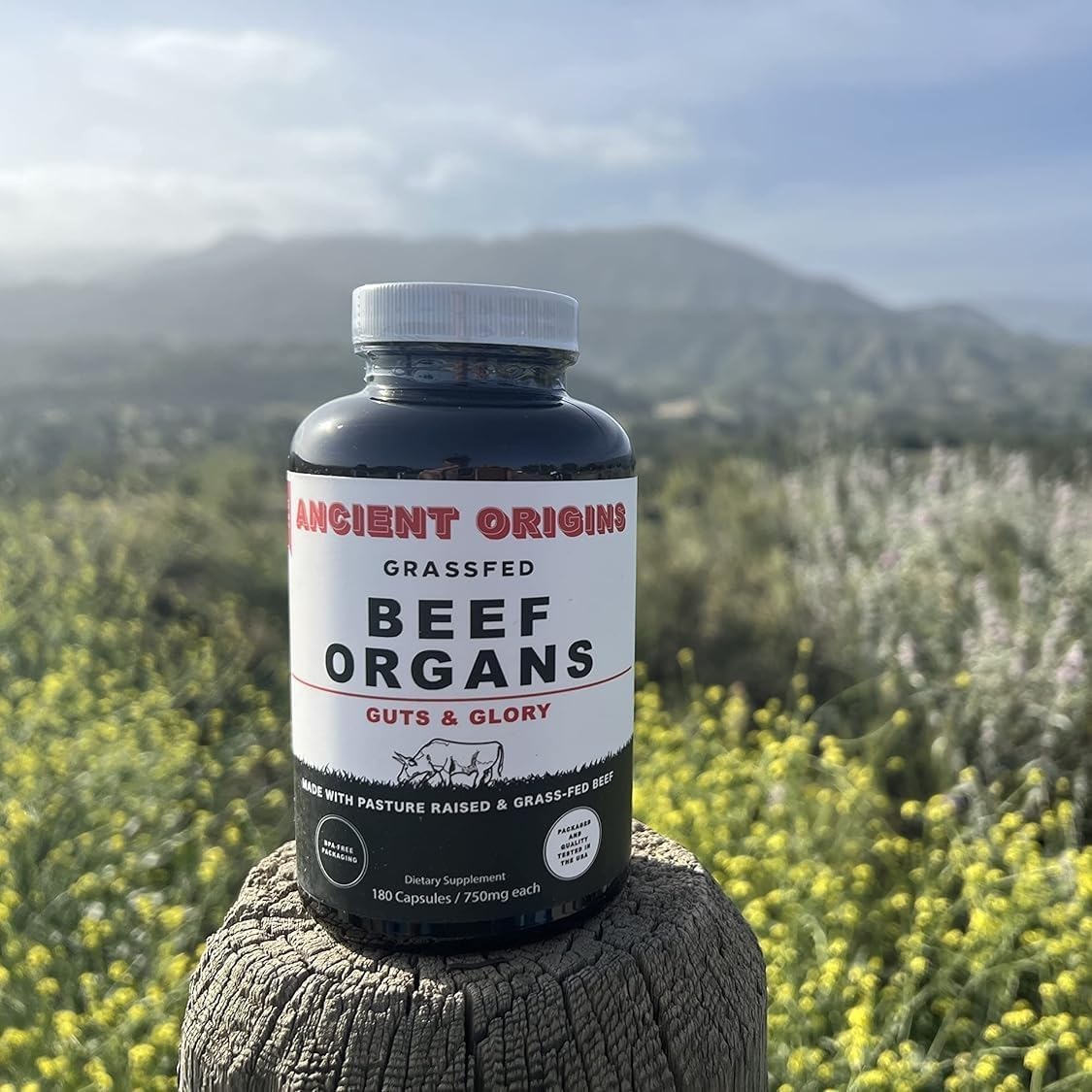 Ancient Origins Beef Organ Supplement 4500mg on a wooden table