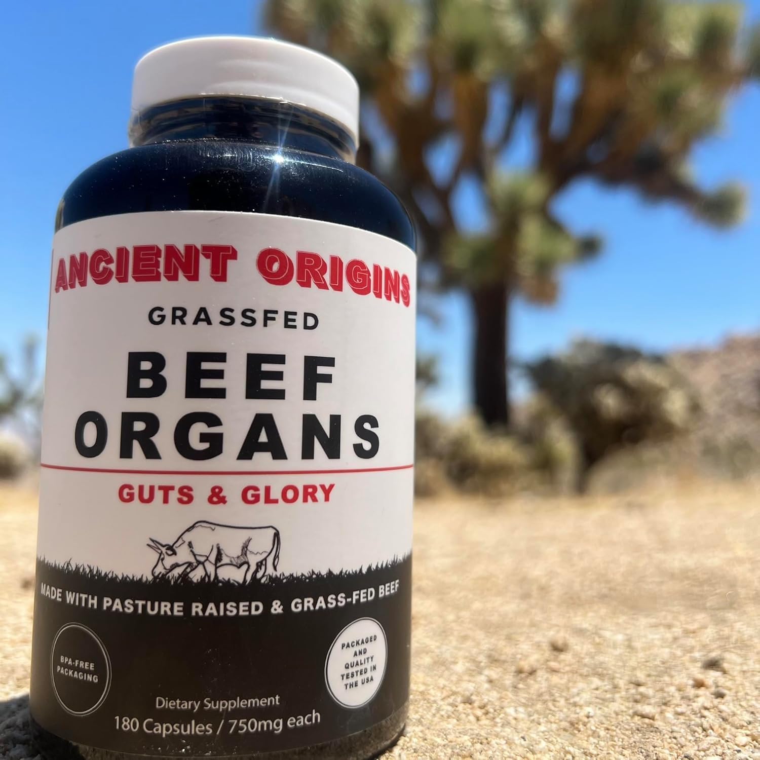 Ancient Origins Beef Organ Supplement 4500mg with a measuring spoon