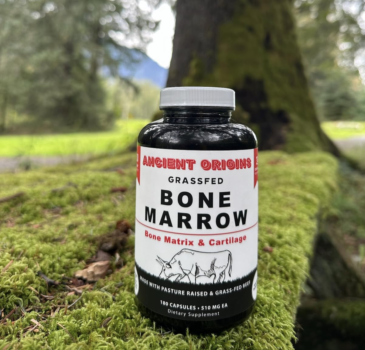 Ancient Origins Bone Marrow Collagen Supplement with natural ingredients