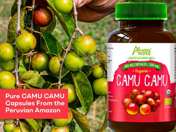ANDES Camu Camu Vitamin C 500mg capsules on a wooden table