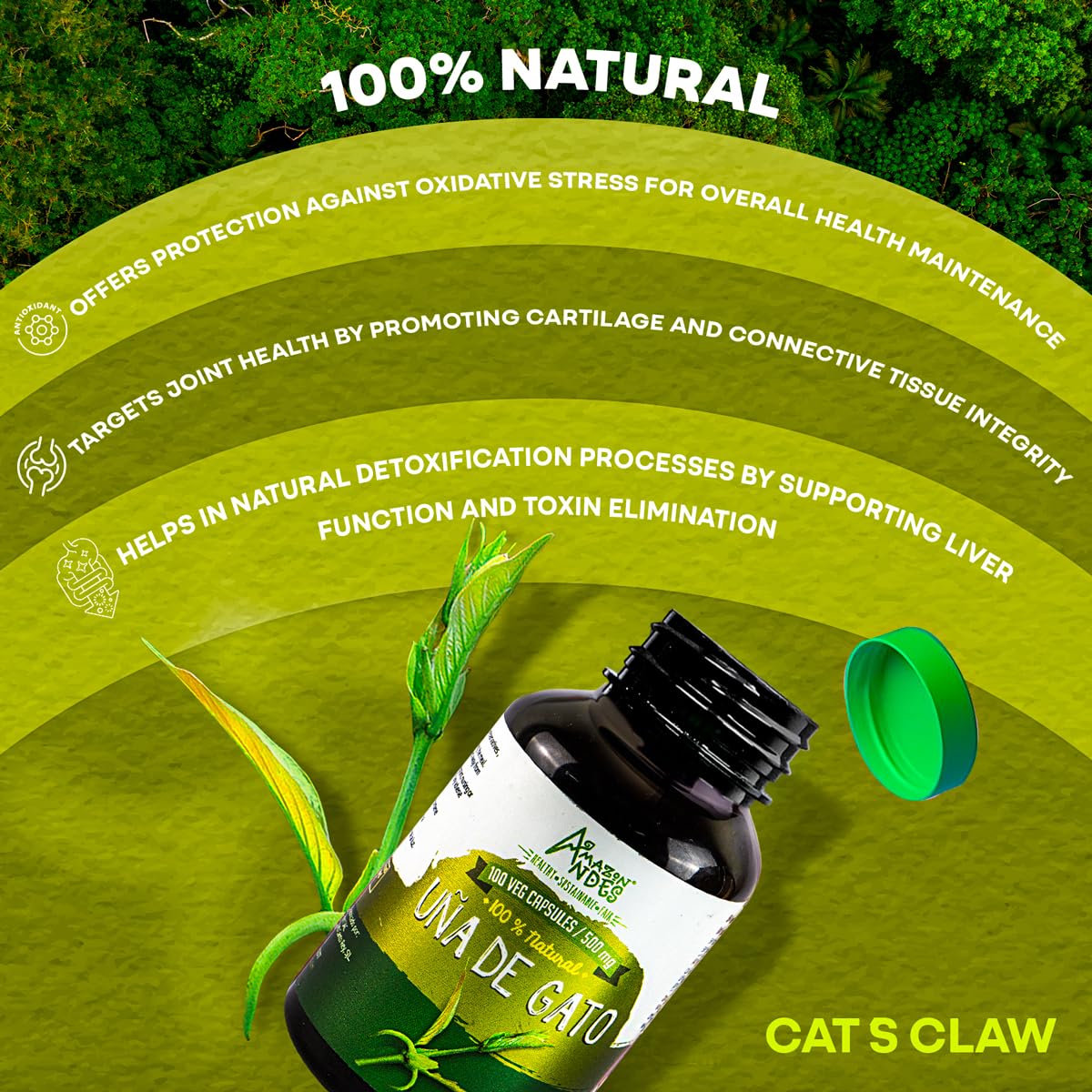 ANDES Cat's Claw Vegan Capsules packaging