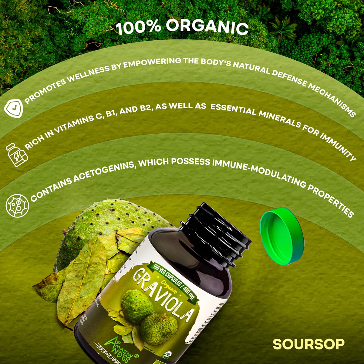 ANDES Graviola Leaf Powder 400mg capsule close-up