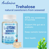 andmino L-Lysine Gummies 1000mg gummies close-up