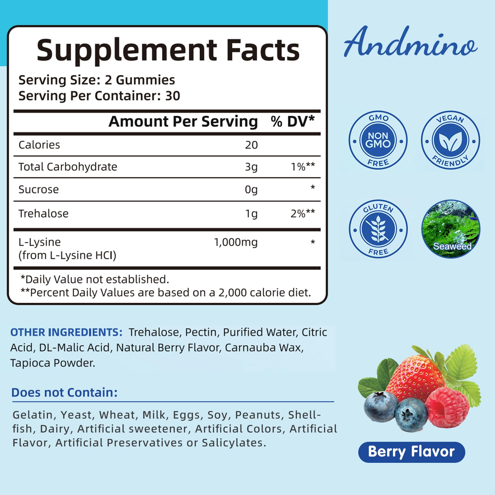 andmino L-Lysine Gummies 1000mg package back