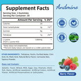 andmino L-Lysine Gummies 1000mg package back
