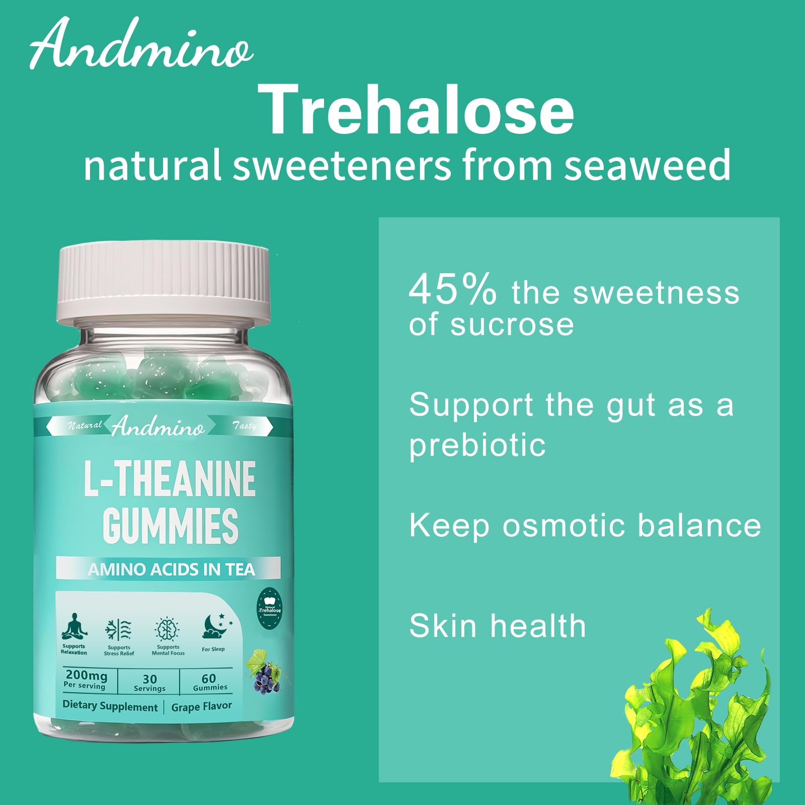 andmino L-Theanine Gummies on a wooden table