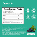 andmino L-Theanine Gummies side view with dosage details