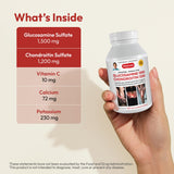 ANDREW LESSMAN Chondroitin Capsules bottle with label
