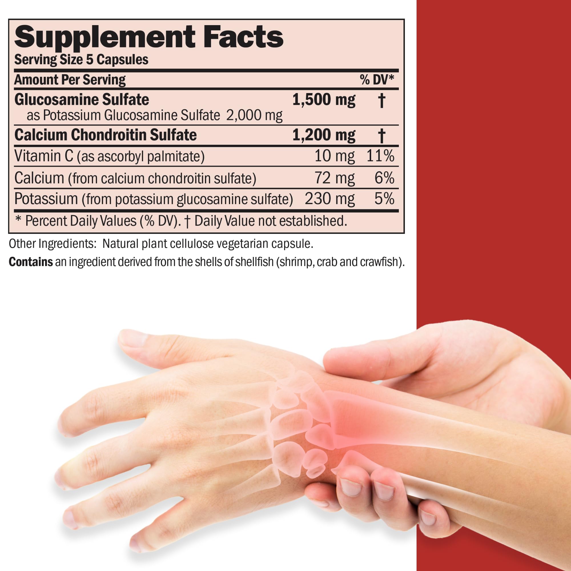 ANDREW LESSMAN Chondroitin Capsules side view