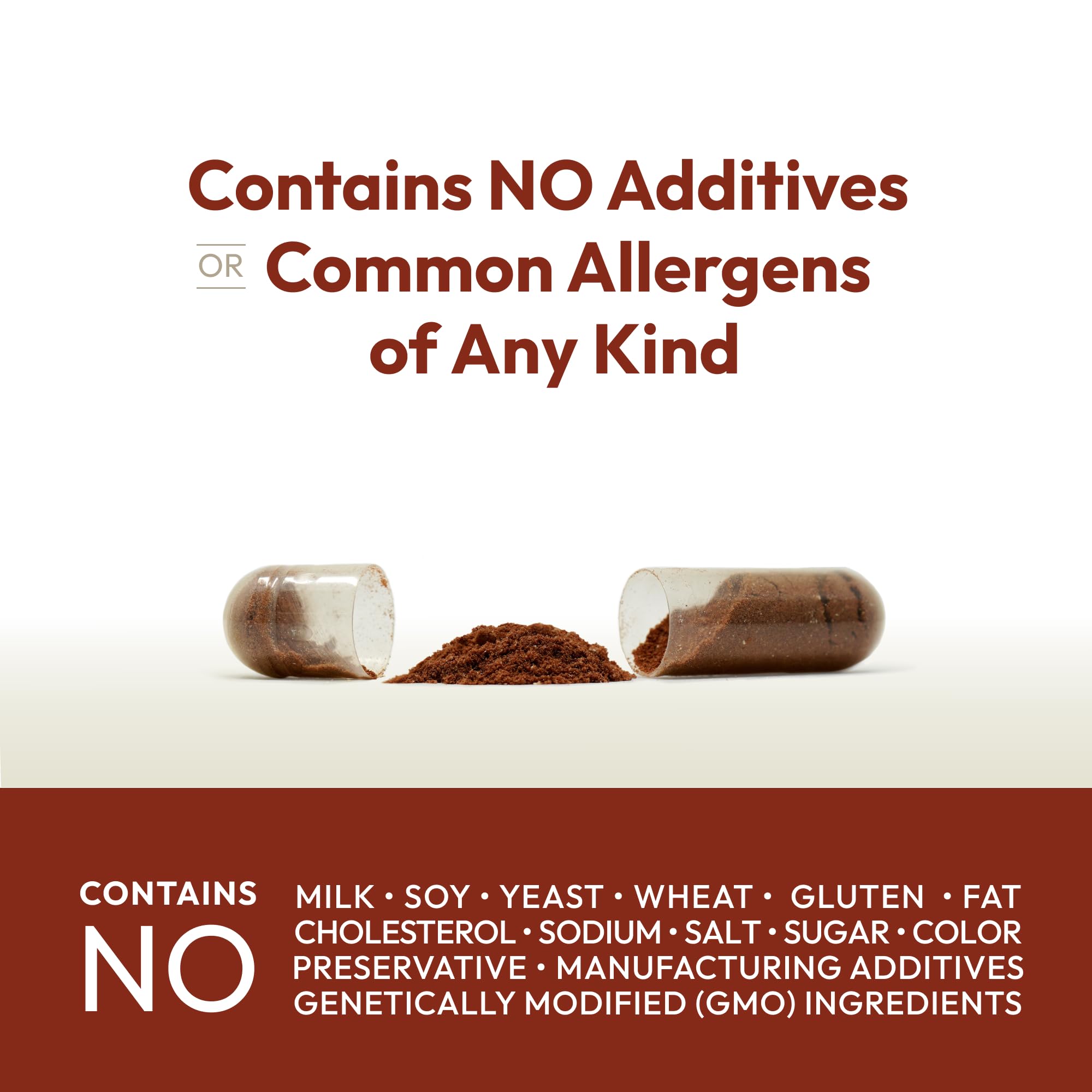 ANDREW LESSMAN Cinnamon Bark Supplement eco-friendly packaging