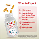ANDREW LESSMAN Coenzyme Q-10 300 Capsules ingredients list