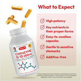 ANDREW LESSMAN CoQ10 capsules displayed on a wooden table