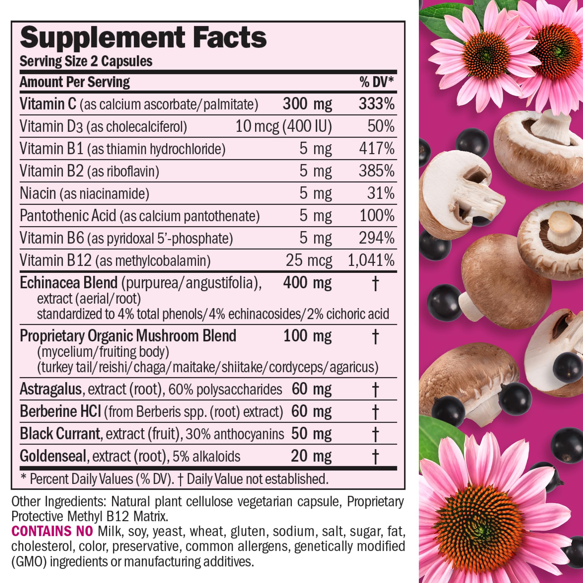 ANDREW LESSMAN Echinacea Herbal Supplement side view showing capsule