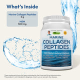 ANDREW LESSMAN Marine Collagen Peptides 500mg capsule close-up