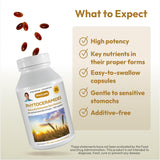 ANDREW LESSMAN Phytoceramide & Biotin Supplement ingredients list