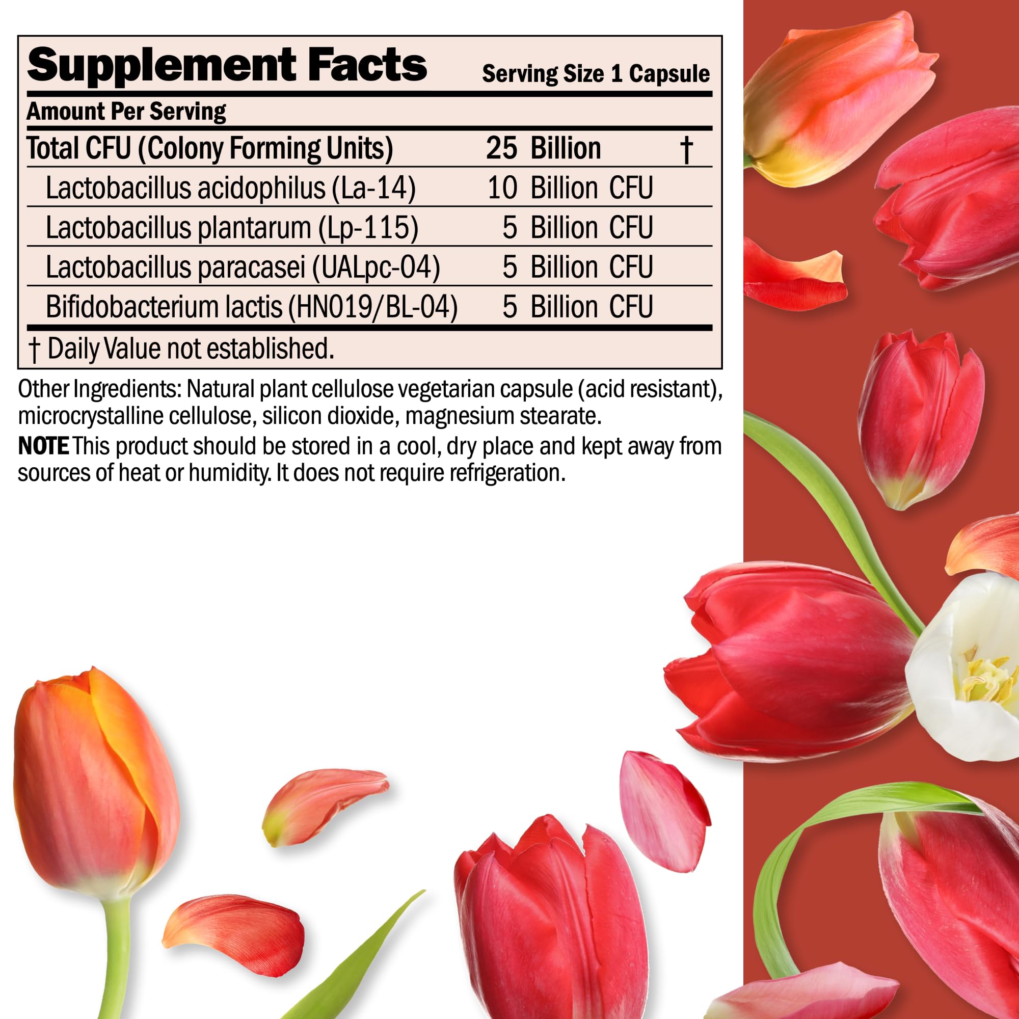 ANDREW LESSMAN Probiotic Capsules packaging side view