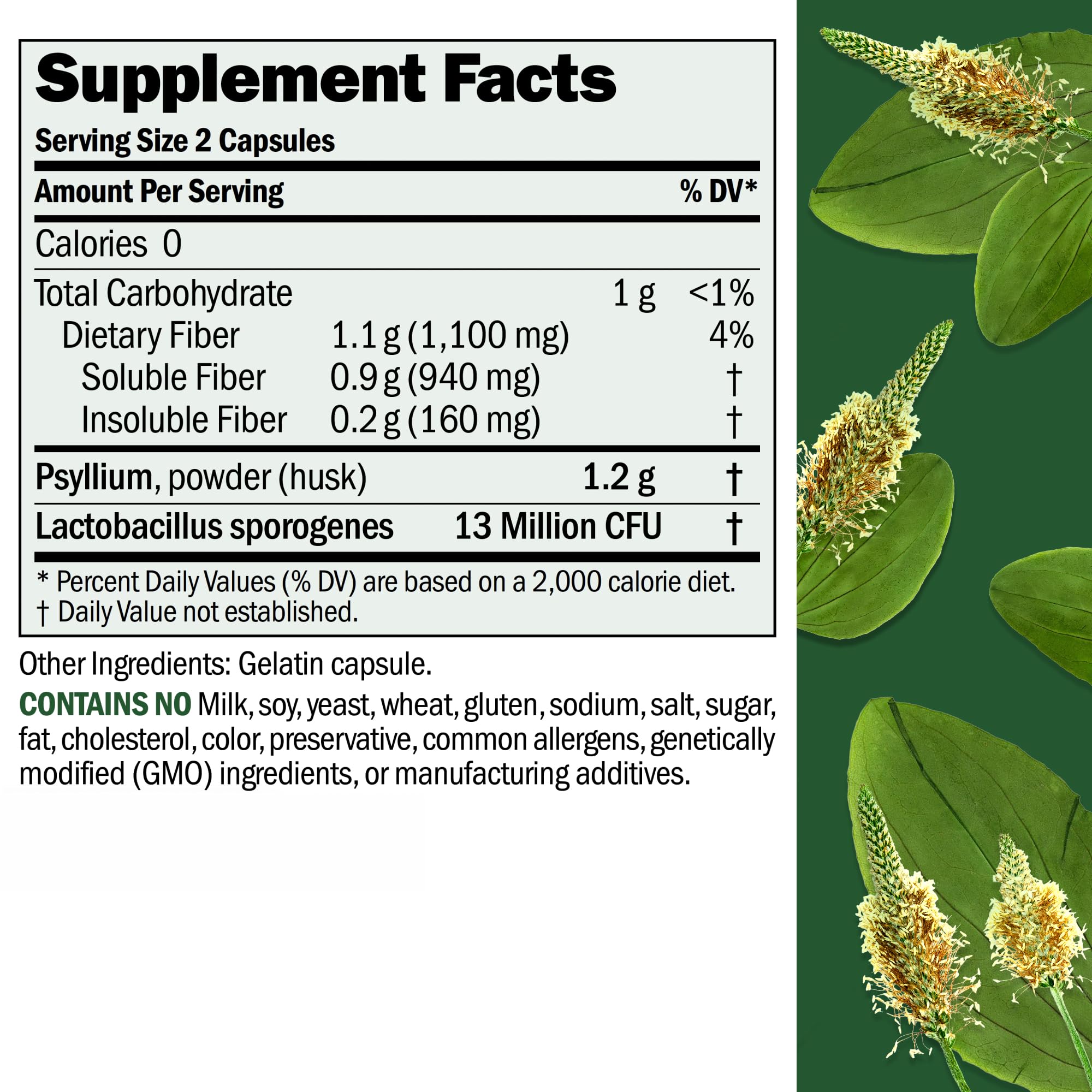ANDREW LESSMAN Psyllium Husk Fiber Capsules side view