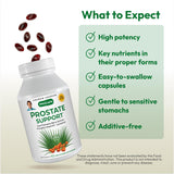 ANDREW LESSMAN Saw Palmetto Supplement ingredients list