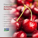 Anew Vita Tart Cherry Supplement bottle with a hand for size reference