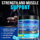 AnFamer Creatine Gummies bottle side view, 120 count