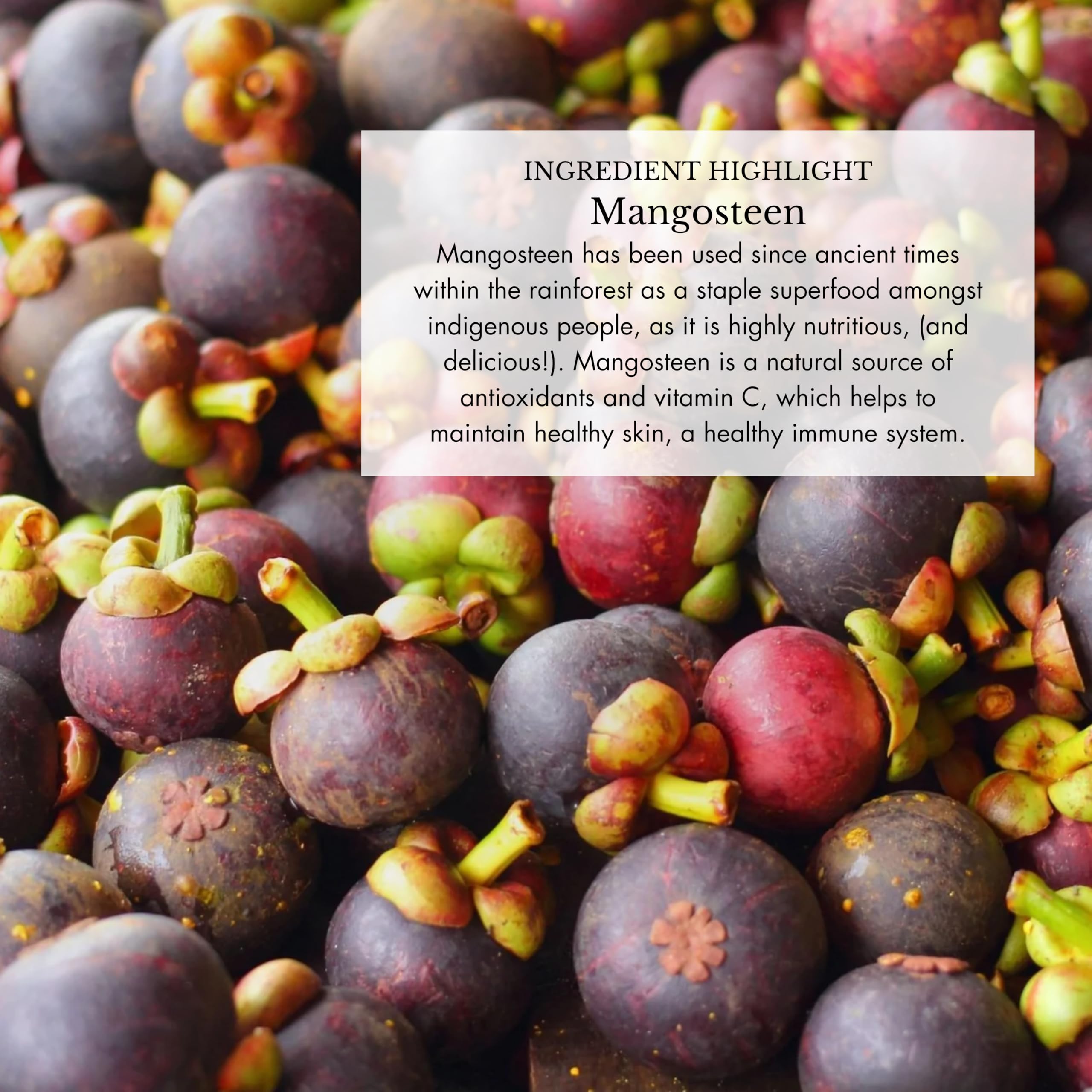 Anima Mundi Apothecary Adaptogenic Mushroom Tonic nutritional information