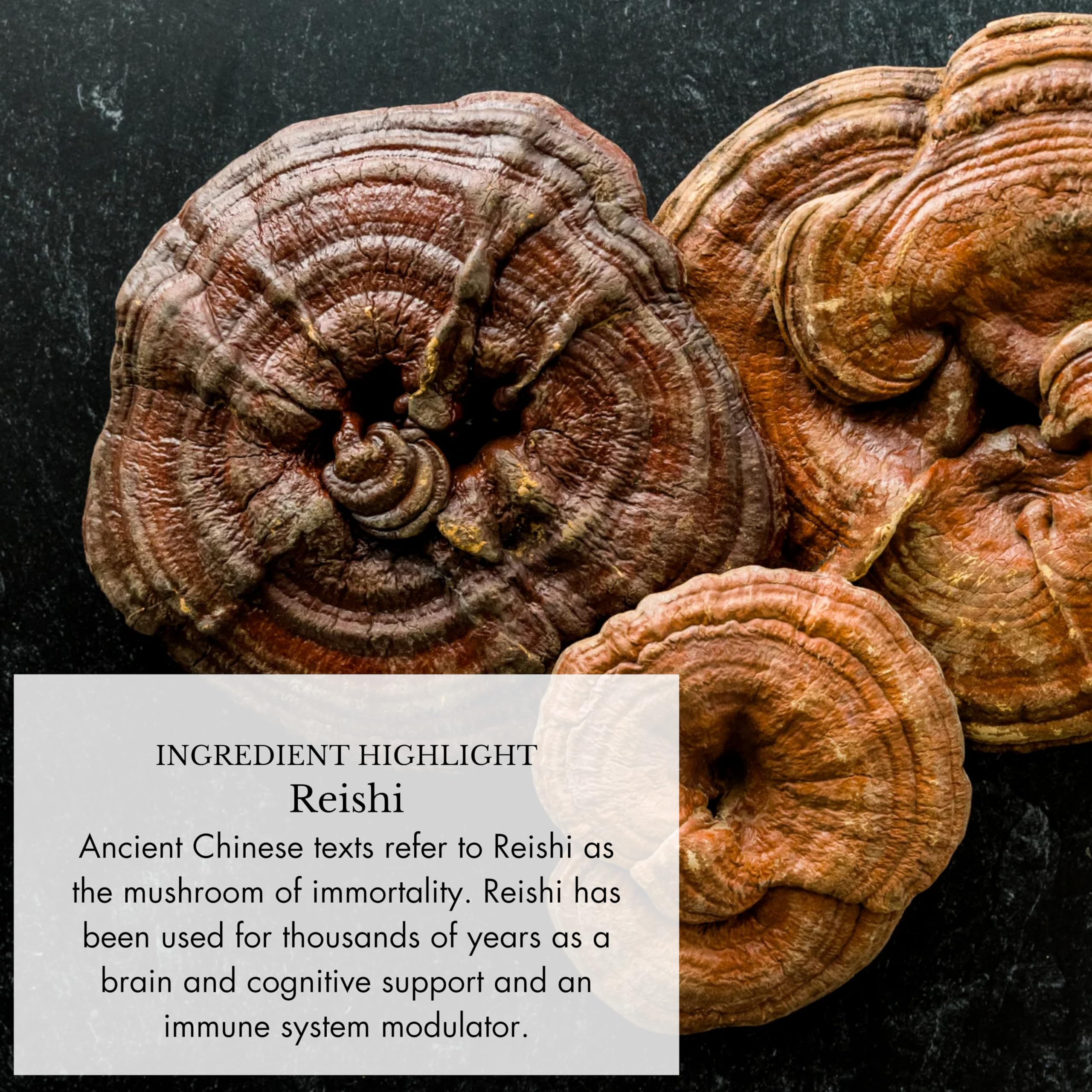 Anima Mundi Apothecary Adaptogenic Mushroom Tonic on a wooden table