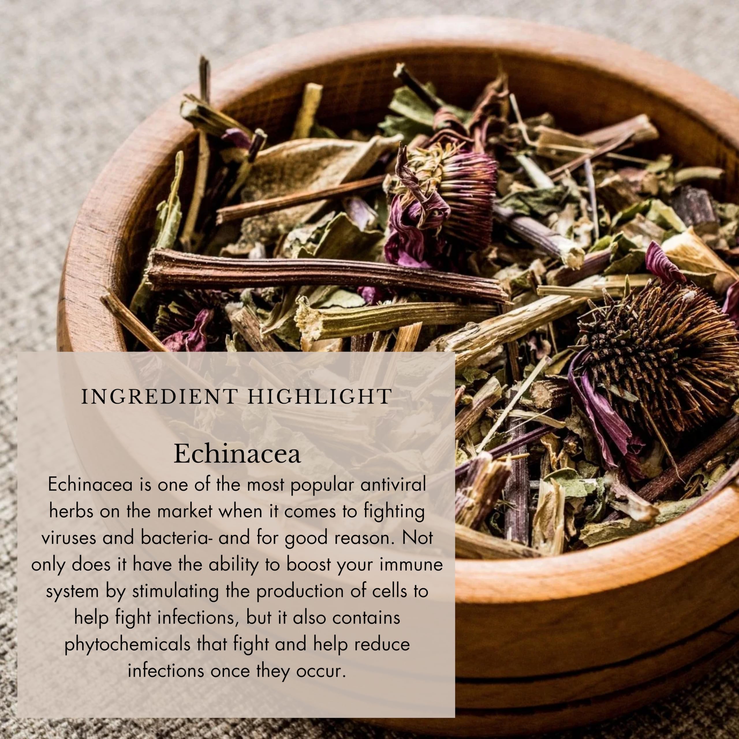 Anima Mundi Apothecary Echinacea Herbal Supplement dropper