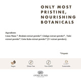 Anima Mundi Brain Tonic Mushroom Blend in a glass with matcha