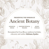 Anima Mundi Brain Tonic Mushroom Blend spoonful next to herbal ingredients