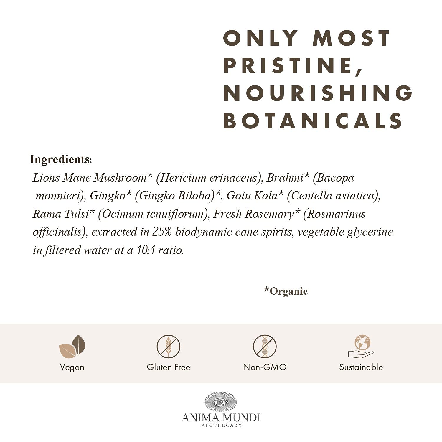 Anima Mundi Brain Tonic with fresh ingredients