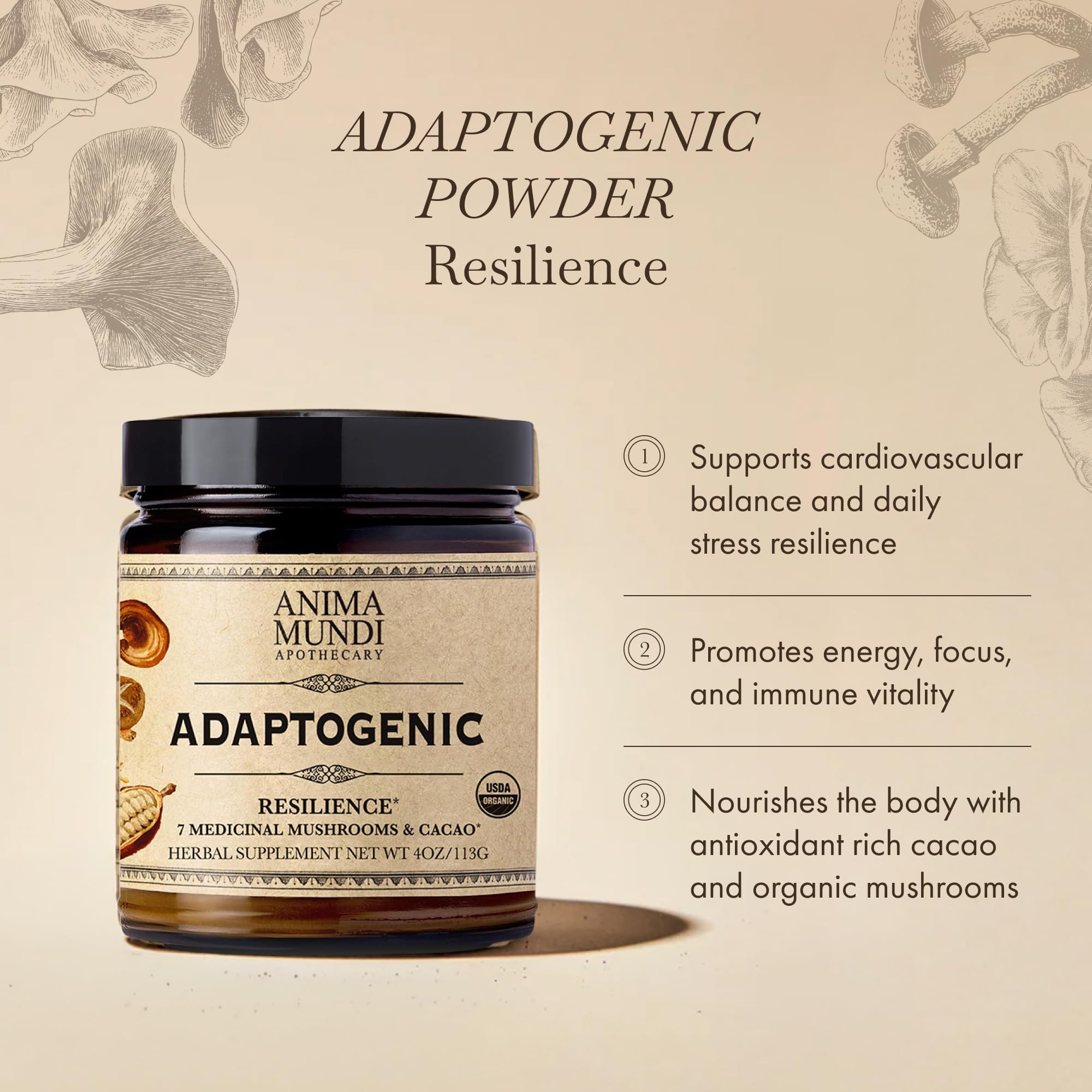 Anima Mundi Mushroom & Cacao Blend back view with ingredients