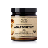 Anima Mundi Mushroom & Cacao Blend front view packaging