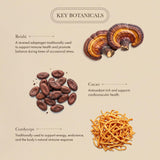 Anima Mundi Mushroom & Cacao Blend in a smoothie