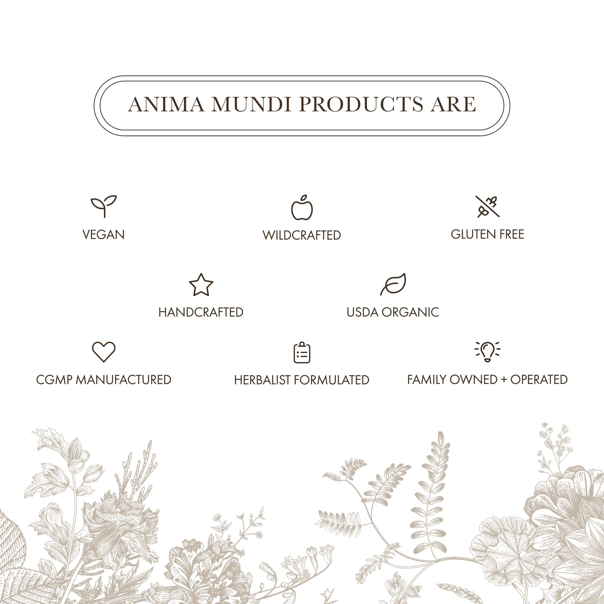 Anima Mundi Mushroom & Cacao Blend lifestyle scene